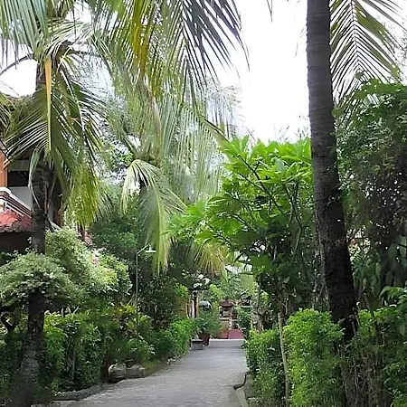 Paradise Palm Beach Bungalows