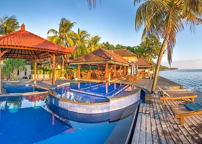 Paradise Palm 4*