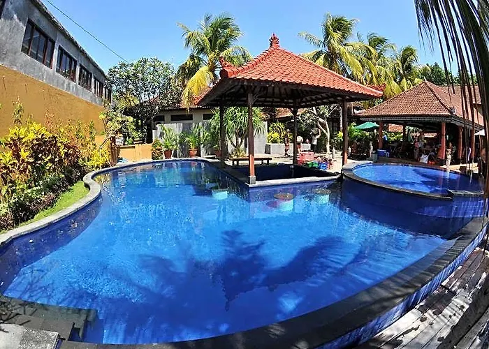 Paradise Palm