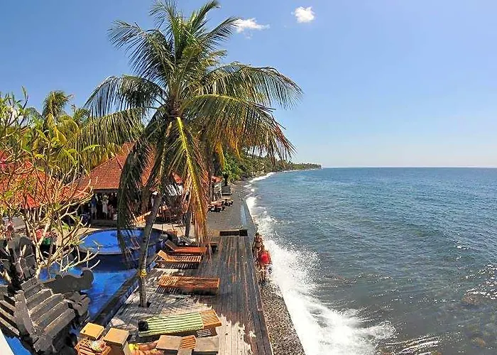 Paradise Palm База отдыха