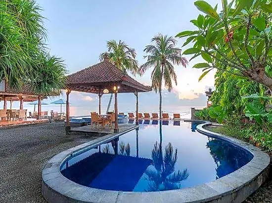 Paradise Palm