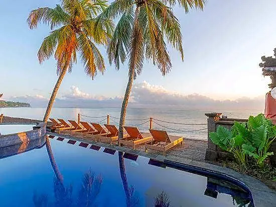 Paradise Palm Data