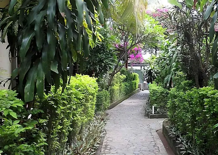 База отдыха Paradise Palm 4*